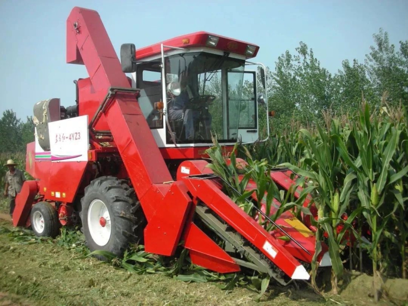 ������ʱ��(�й���)�������ǲ�!